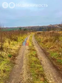 Участок в посёлок Стрелецкий, Школьная улица (11 м) - Фото 2