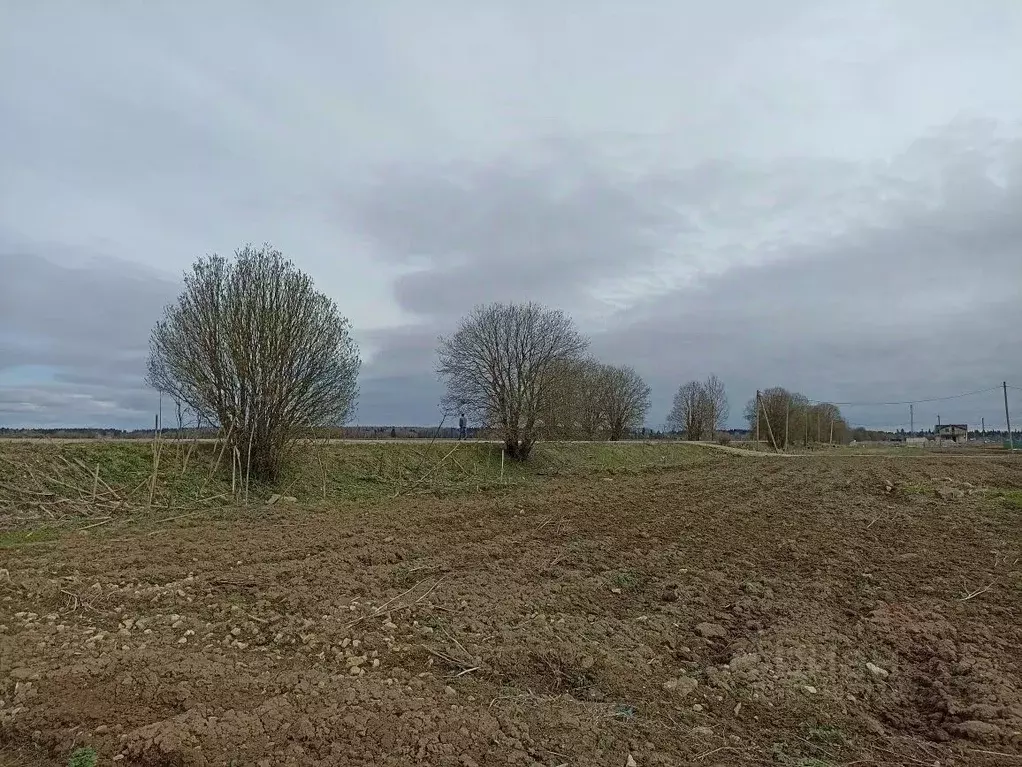 Участок в Ленинградская область, Волосовский район, д. Клопицы  (37.0 ... - Фото 2
