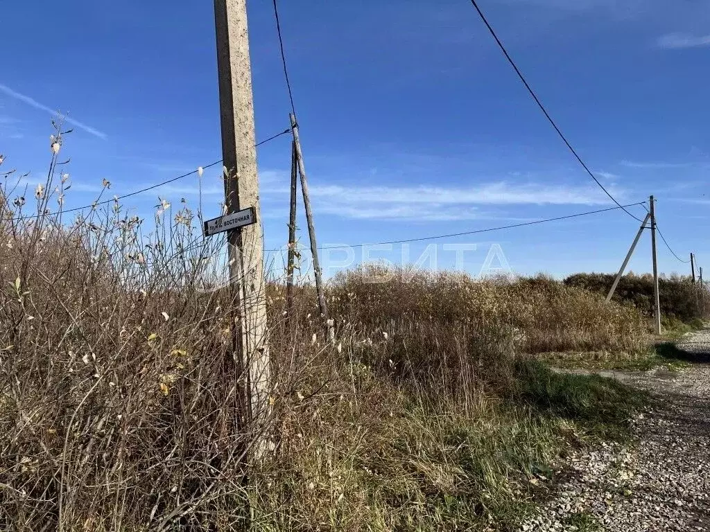 Участок в Тюменская область, Тюмень Садовое товарищество Липовый ... - Фото 1