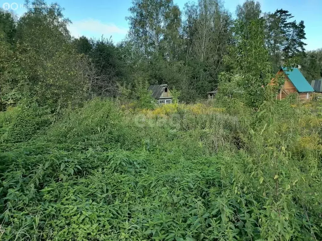 Участок в Барышевский сельсовет, некоммерческое садоводческое ... - Фото 1