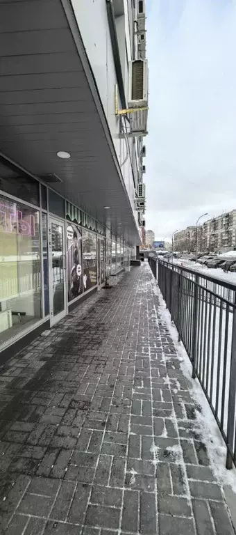 Помещение свободного назначения в Новосибирская область, Новосибирск ... - Фото 1