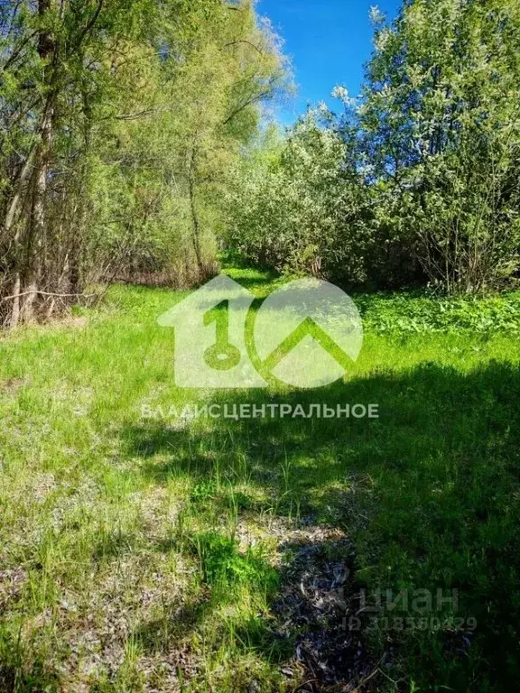 Участок в Новосибирская область, Новосибирский район, Кубовинский ... - Фото 0