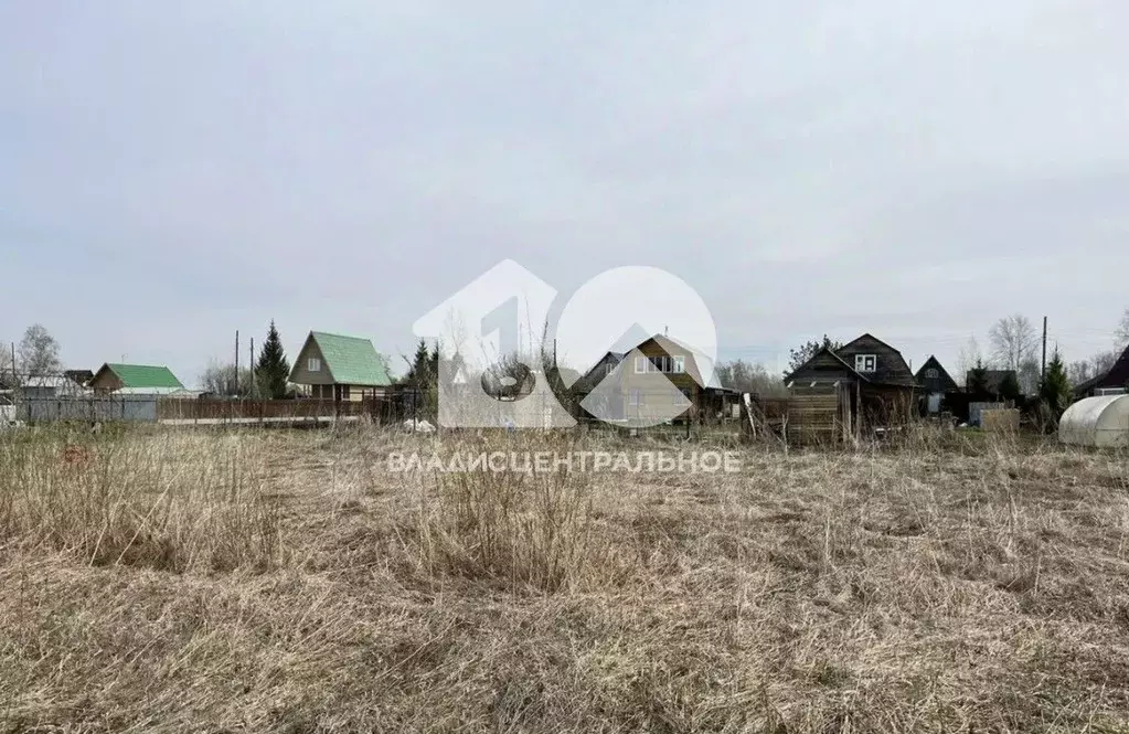 Участок в Новосибирская область, Колыванский район, Север ТСН 248 (8.0 ... - Фото 1