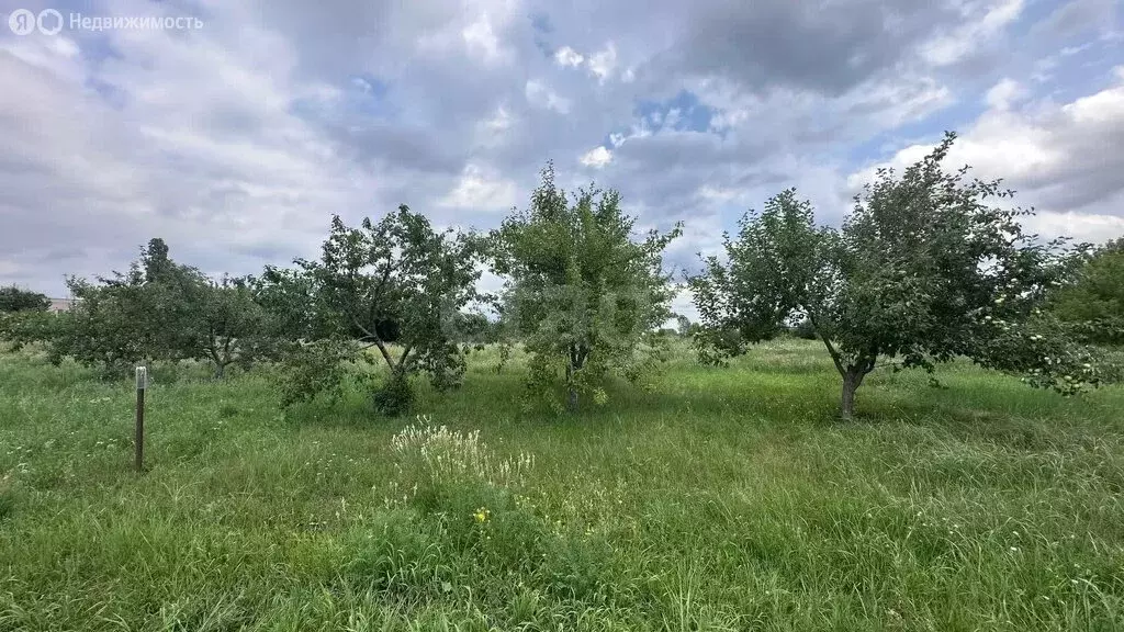 Участок в Отрадное, улица Свободы (4.5 м) - Фото 1