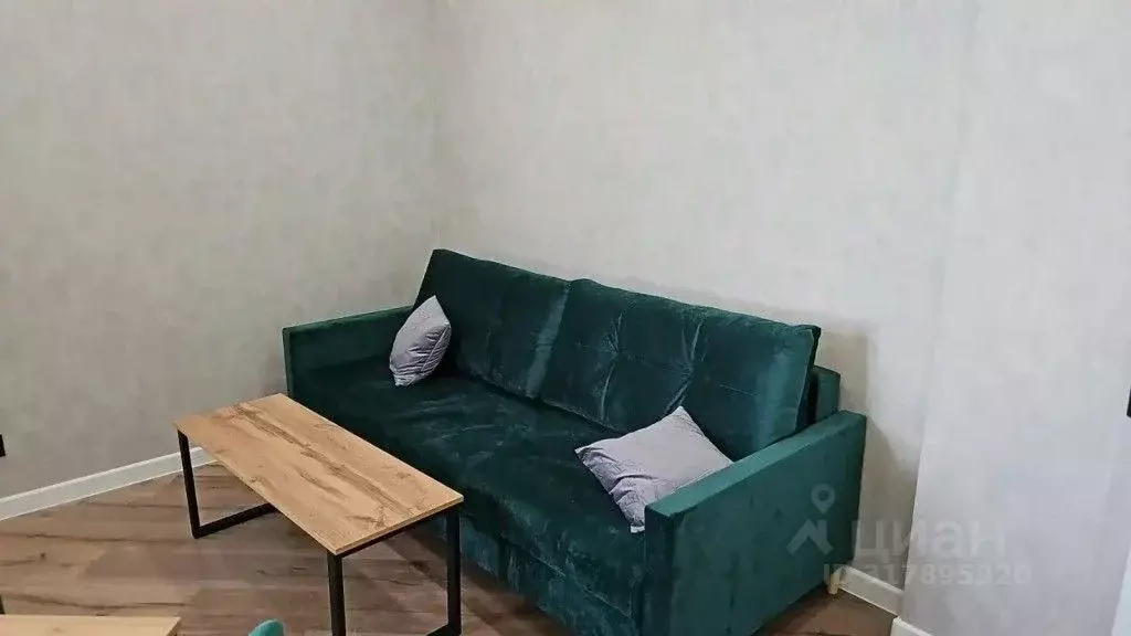 2-к кв. Псковская область, Псковский район, Завеличенская волость, д. ... - Фото 2