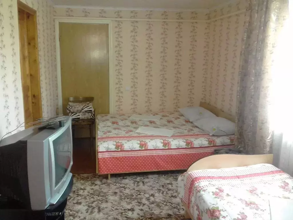 Дом в Воронежская область, Богучар Дорожный пер., 9 (30 м) - Фото 0