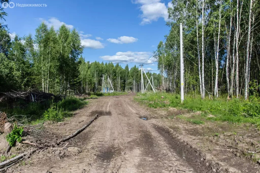 Участок в Тобольск, микрорайон Усадьба (9.96 м) - Фото 1