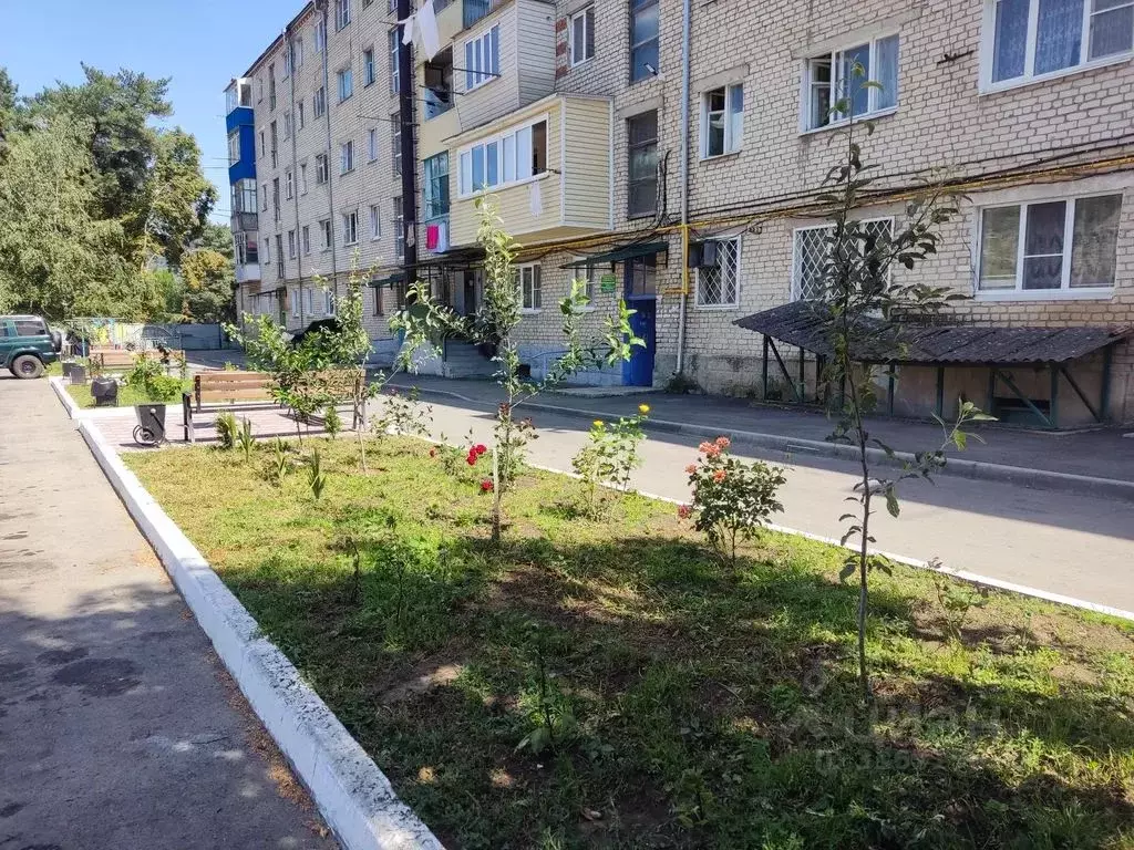 1-к кв. Карачаево-Черкесия, Карачаевск ул. Ленина, 37А (30.0 м) - Фото 1