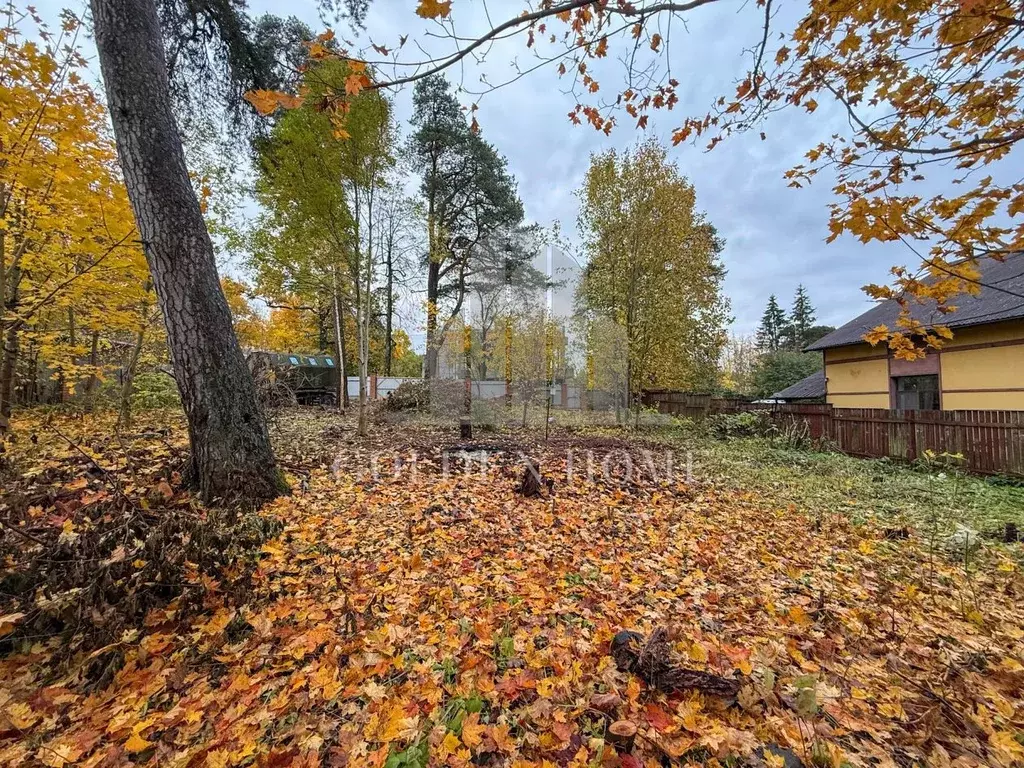 Участок в Санкт-Петербург, Санкт-Петербург, Красное Село Дудергоф ... - Фото 2