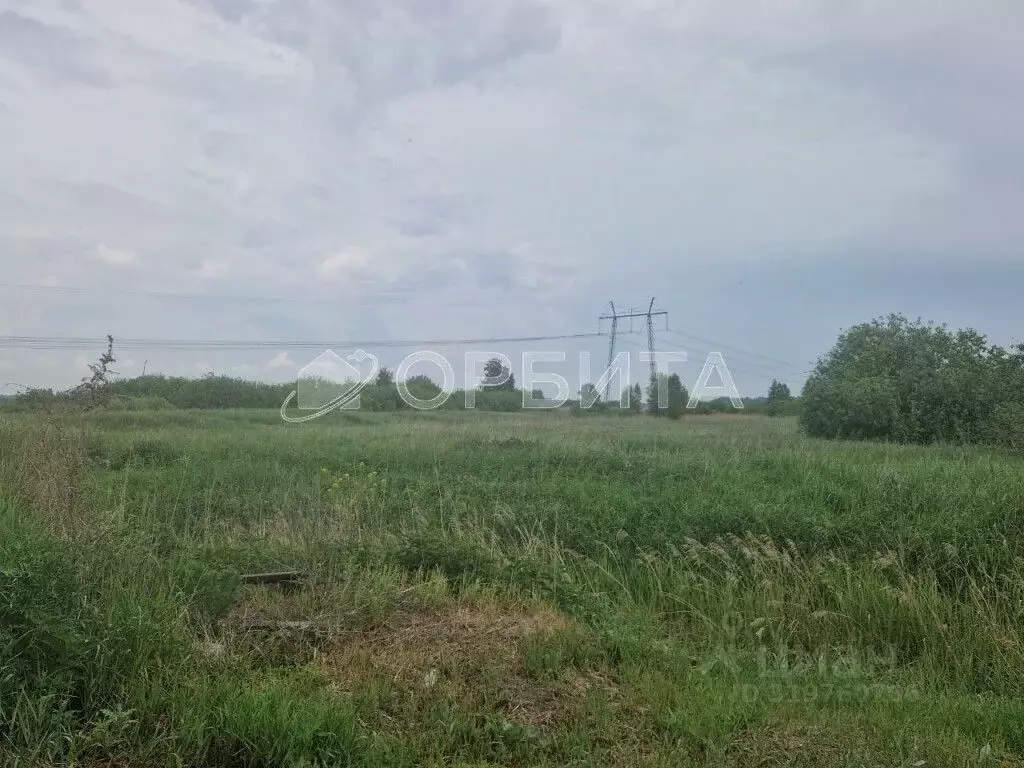Участок в Тюменская область, Тюмень Лаванда садовое товарищество,  ... - Фото 0