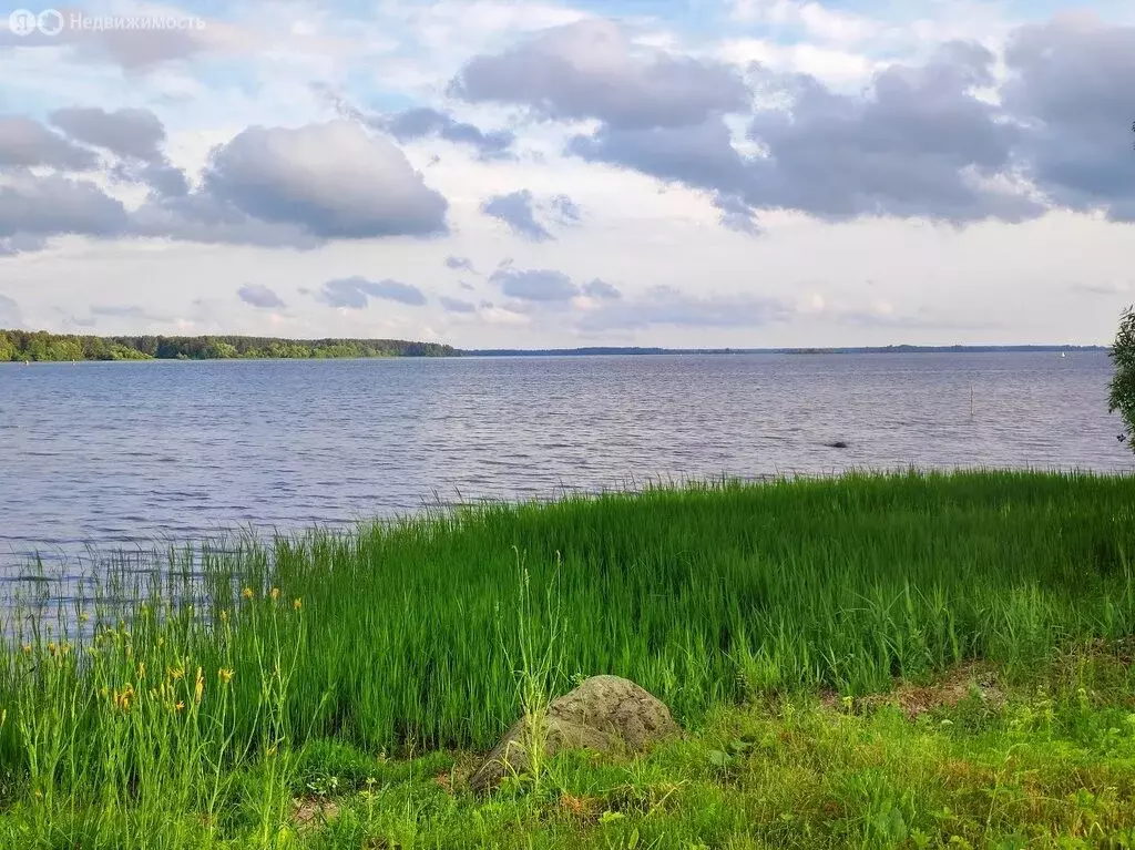 Участок в Кашинский городской округ, деревня Перетрясово (34 м) - Фото 1