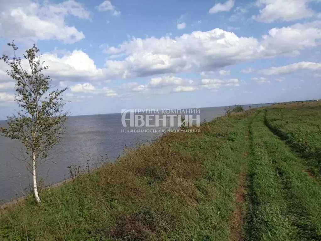 Участок в Новгородская область, Старорусский район, Наговское с/пос, ... - Фото 0