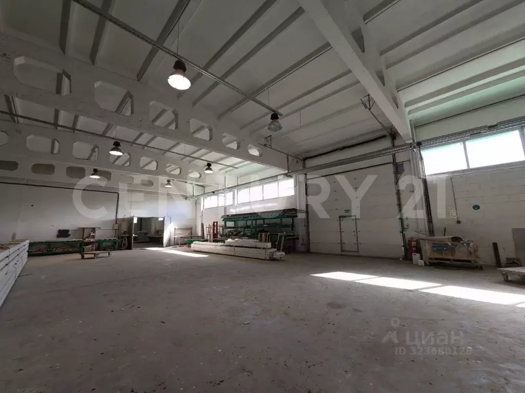 Помещение свободного назначения в Ленинградская область, Волосовский ... - Фото 2