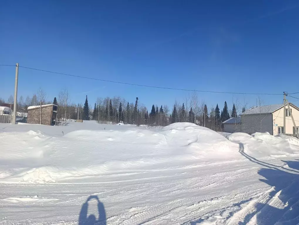 Участок в Кемеровская область, Березовский ул. Семейная (15.0 сот.) - Фото 1