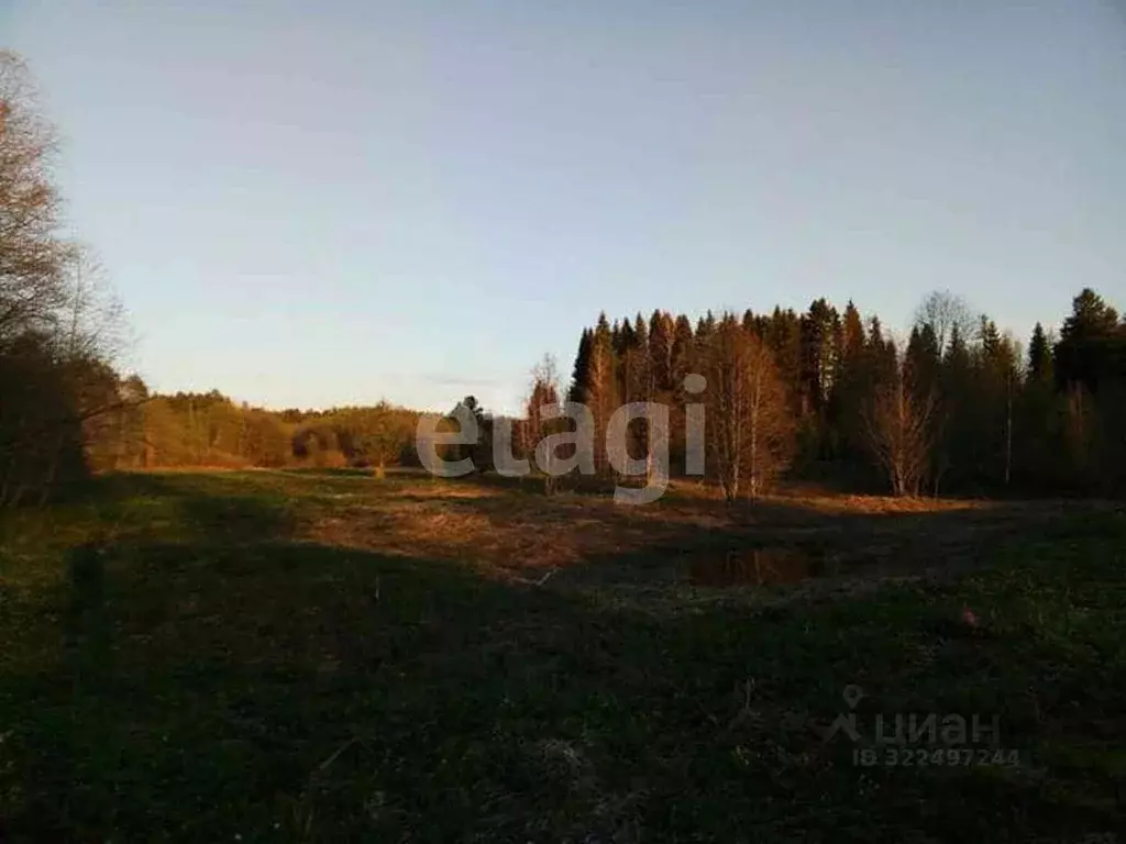 Участок в Вологодская область, Тотемский муниципальный округ, ... - Фото 1