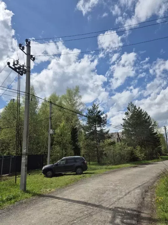 Участок в Владимирская область, Александровский район, Каринское ... - Фото 1