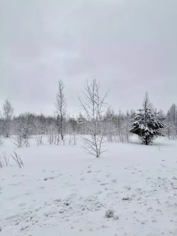 Участок в Нижегородская область, с. Безводное  (1500.0 сот.) - Фото 2
