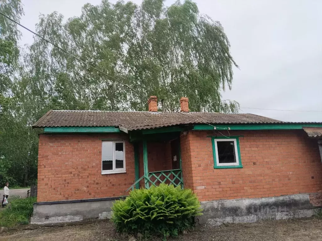 Помещение свободного назначения в Псковская область, Палкино рп ул. ... - Фото 1