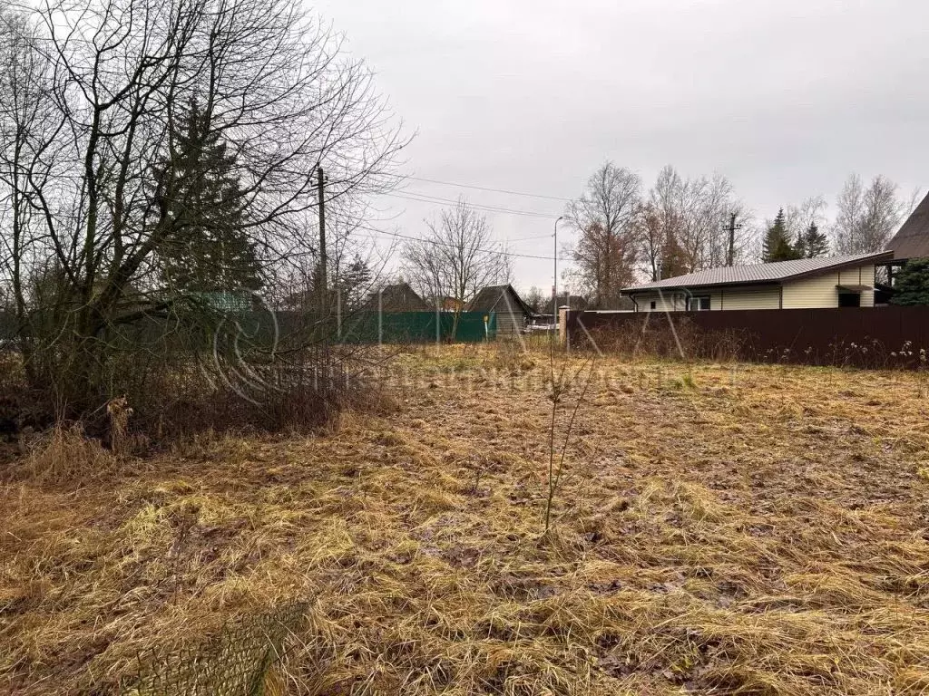 Участок в Ленинградская область, Тосненский район, Тельмановское ... - Фото 1