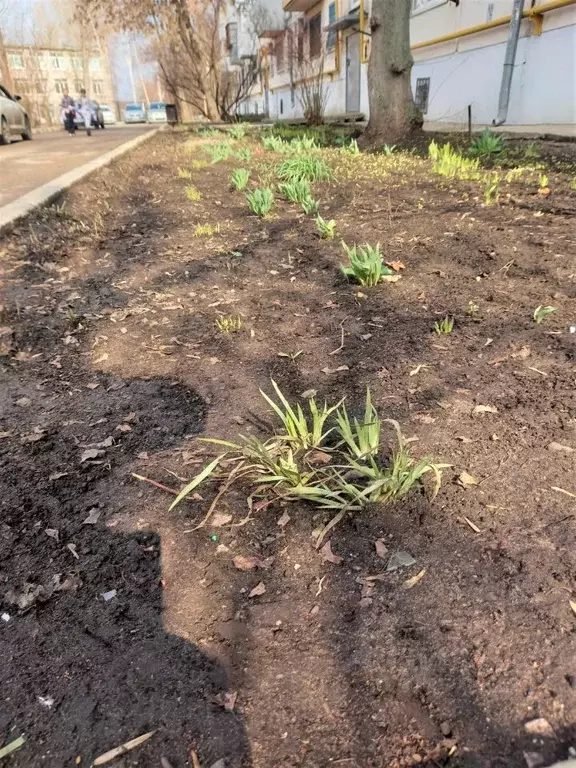 2-к кв. Самарская область, Тольятти ул. Мира, 54Б (44.2 м) - Фото 1