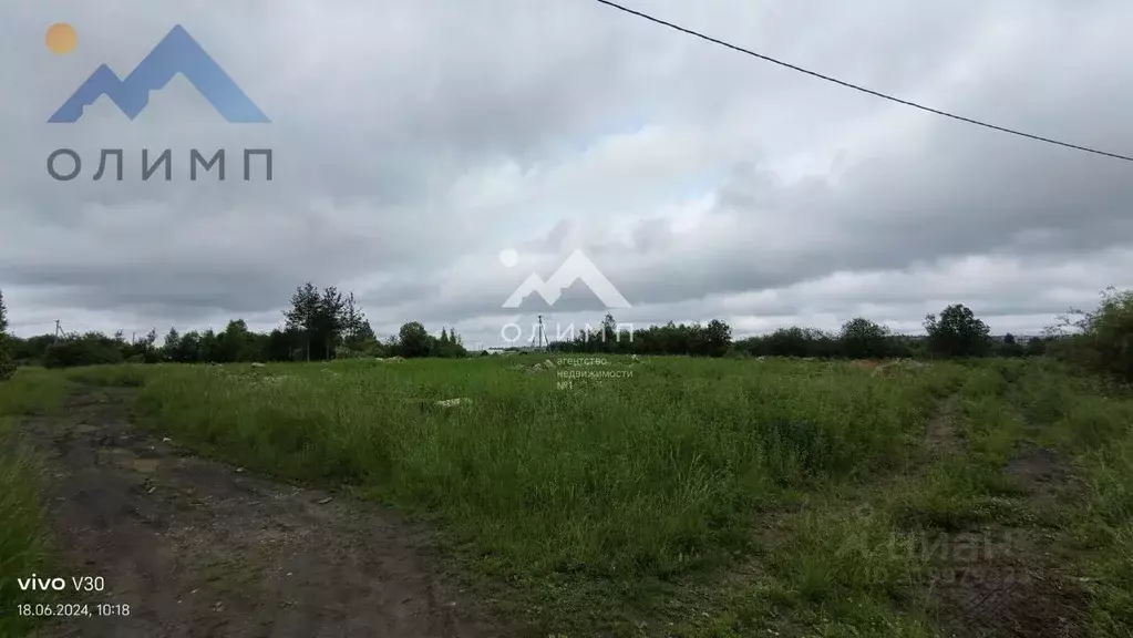 Участок в Вологодская область, Сокольский муниципальный округ, ... - Фото 1