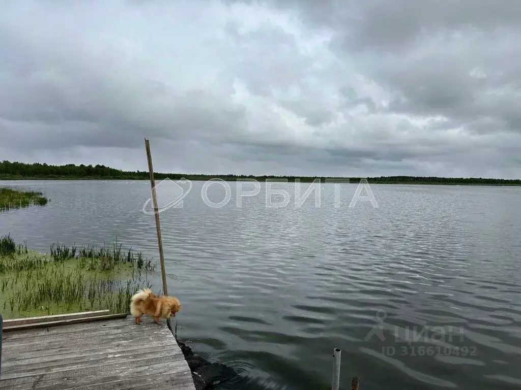Участок в Тюменская область, Тюменский район, д. Субботина  (30.0 ... - Фото 1