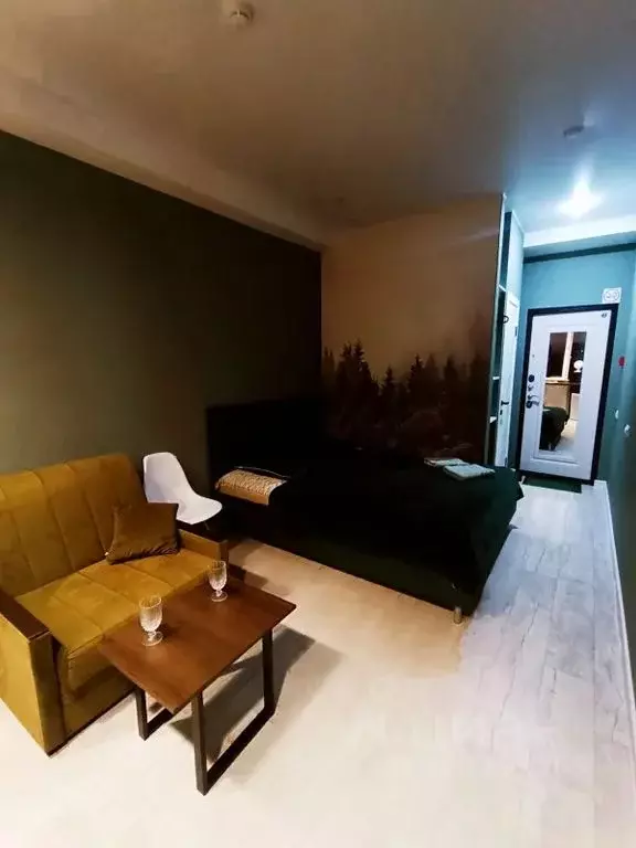 Студия Московская область, Электросталь Комсомольская ул., 1 (23.0 м) - Фото 2