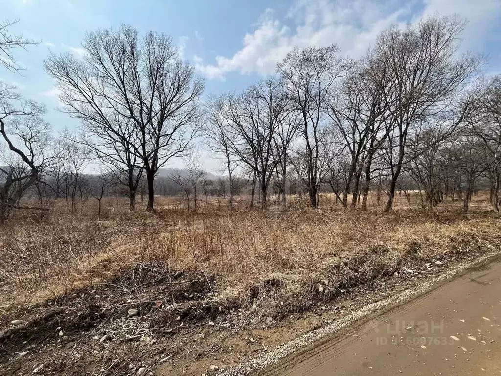 Участок в Приморский край, Партизанск Лозовый кв-л,  (12.0 сот.) - Фото 0