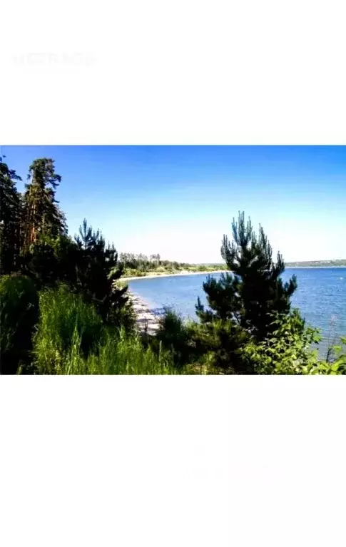 Участок в Новосибирская область, Бердск пер. Морской (8.0 сот.) - Фото 2