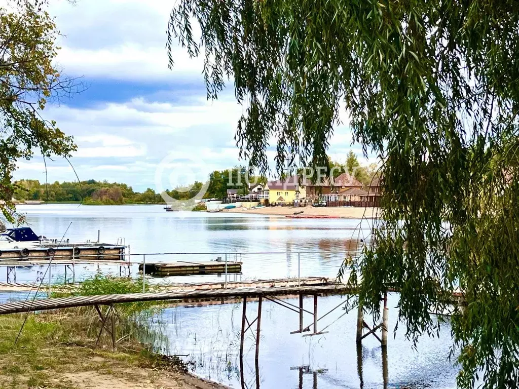 Участок в Саратовская область, Воскресенский район, Елшанское ... - Фото 1
