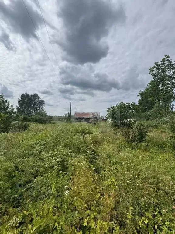 Участок в Псковская область, Псков пос. Панино,  (15.0 сот.) - Фото 2