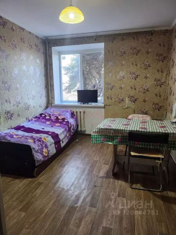 1-к кв. Ростовская область, Новочеркасск ул. Фрунзе (17.0 м) - Фото 1