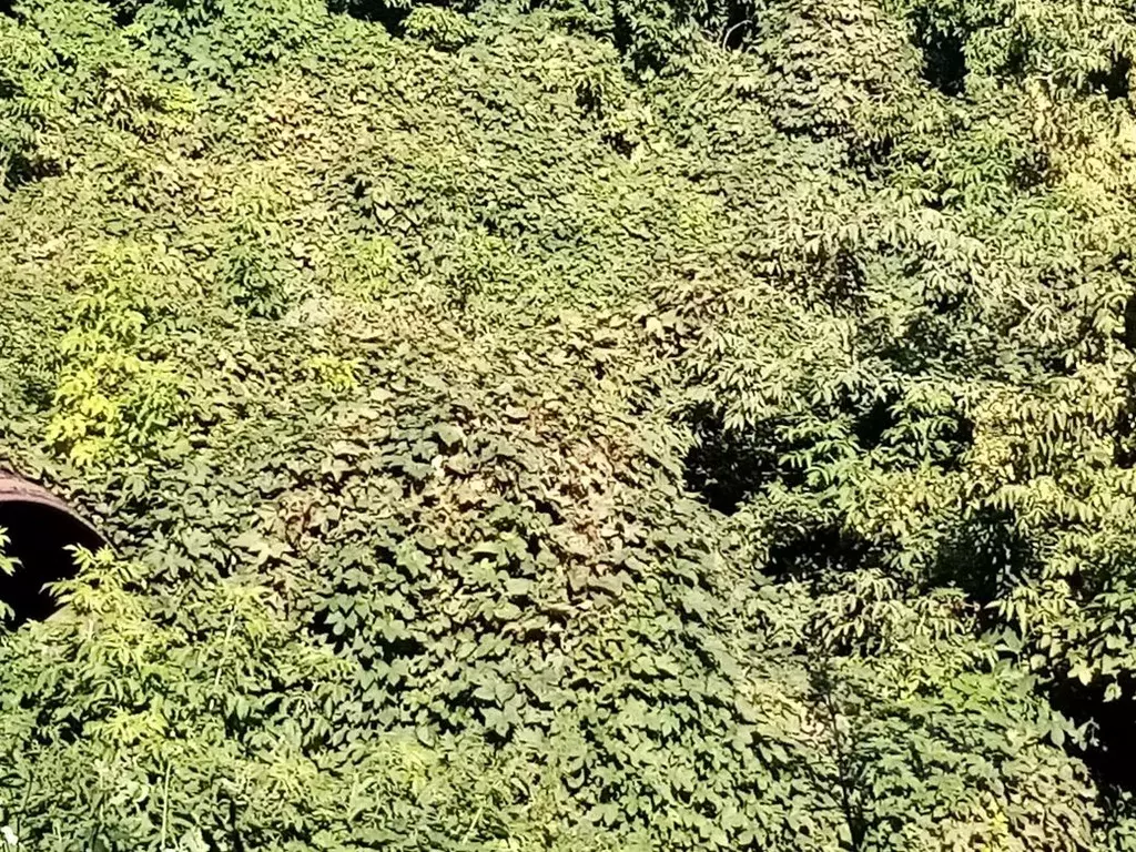 Участок в Ульяновская область, Ульяновск  (6.64 сот.) - Фото 1