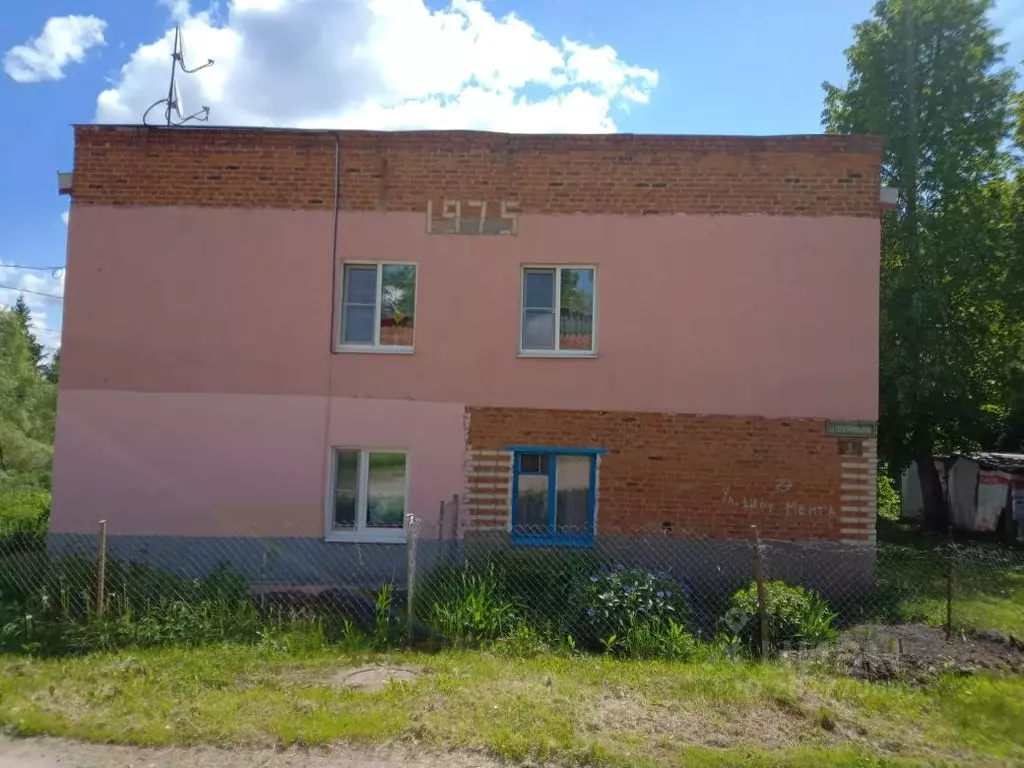 3-к кв. Тульская область, Новомосковский район, д. Озерки Центральная ... - Фото 2