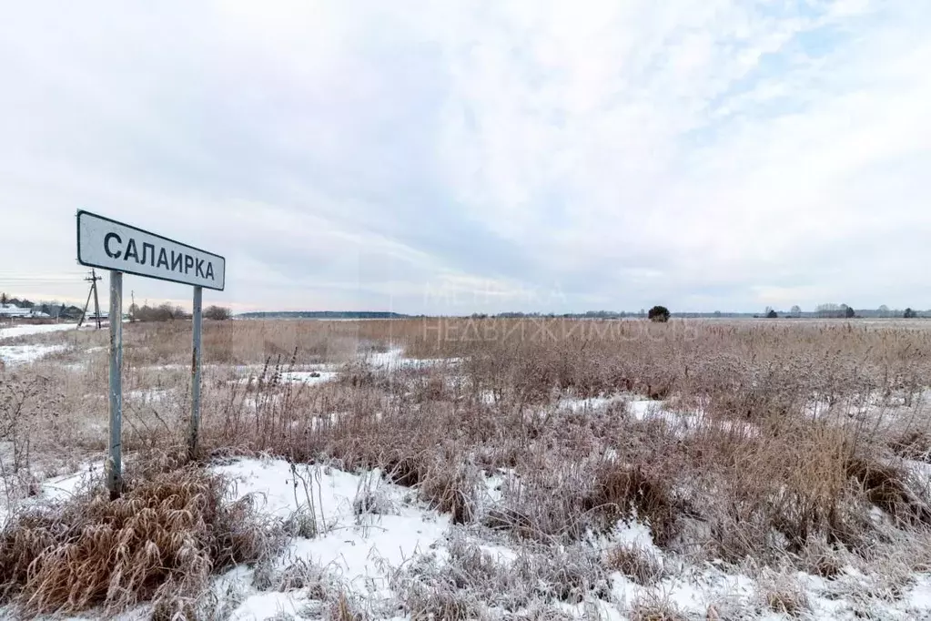 Участок в Тюменская область, Тюменский район, с. Салаирка  (8.0 сот.) - Фото 1