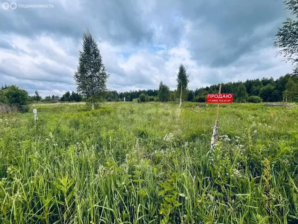 Участок в Костромской район, Бакшеевское сельское поселение, деревня ... - Фото 2