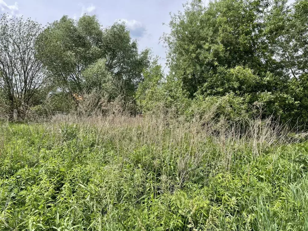 Участок в Московская область, Раменское Гостица мкр, ул. Гостица, 96 ... - Фото 2