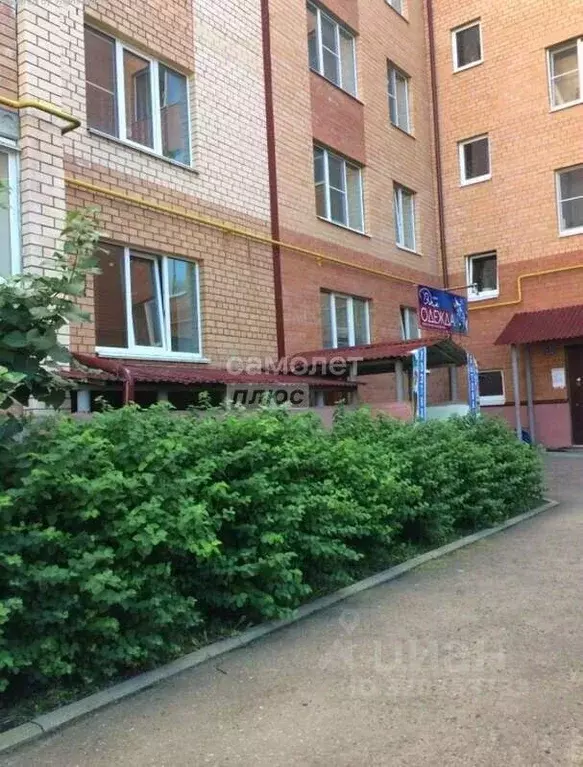 Помещение свободного назначения в Вологодская область, пос. Майский 7Б ... - Фото 1