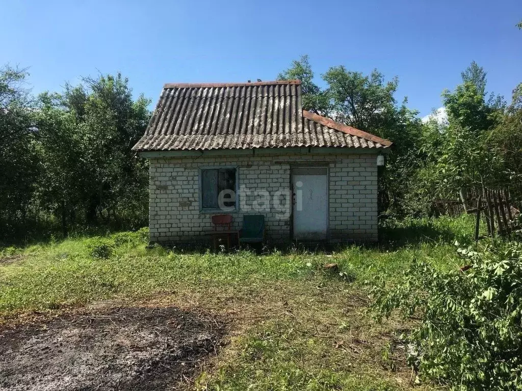 Где Купить В Белгороде Дачу