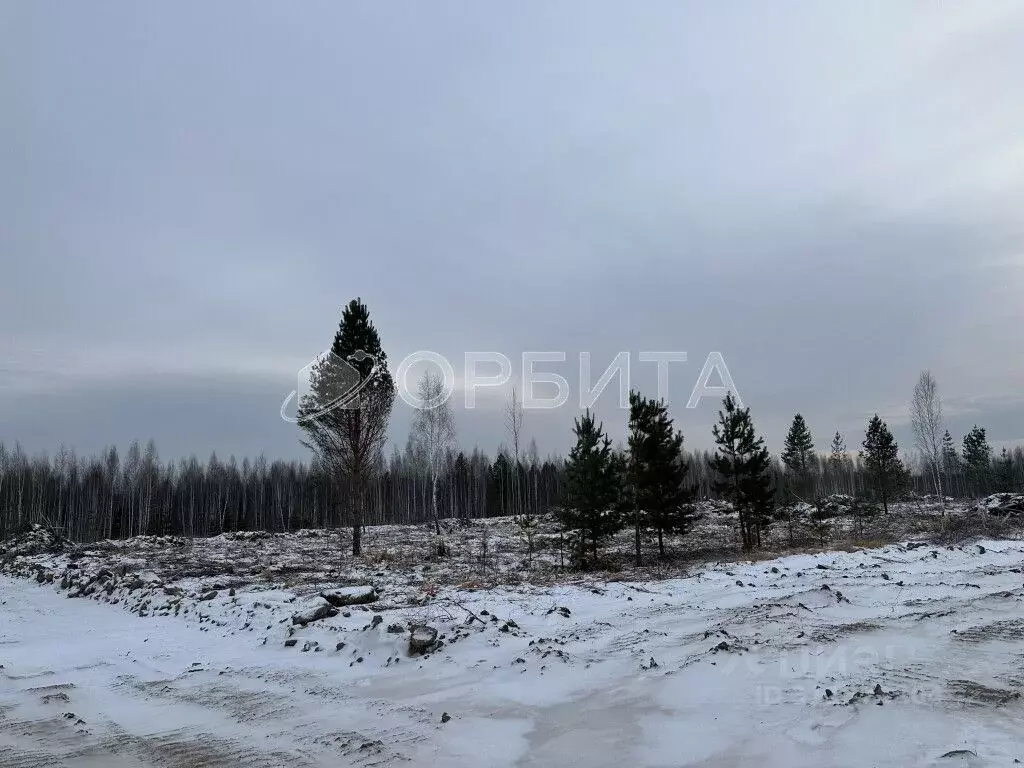 Участок в Тюменская область, Тюменский район, д. Чаплык  (10.0 сот.) - Фото 0