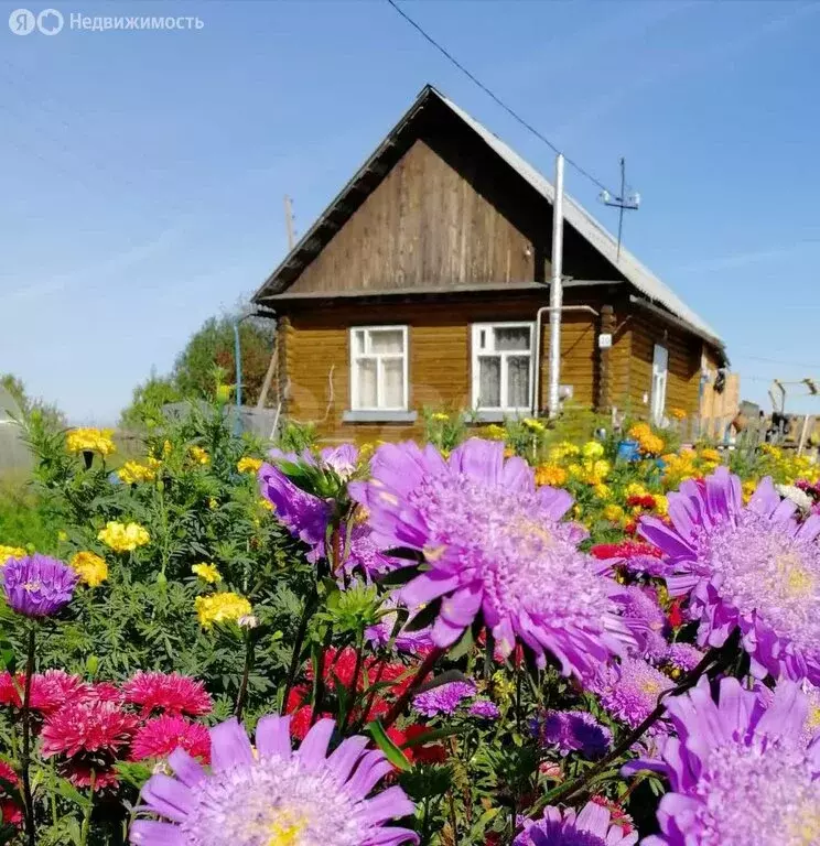 Дом в Вагайский район, деревня Елань-Яр, Еланьярская улица (50 м) - Фото 1