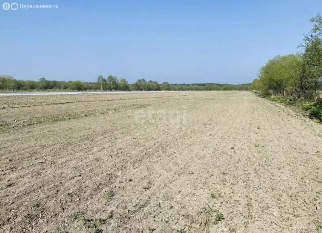 Участок в Анивский городской округ, село Воскресенское (10 м) - Фото 2
