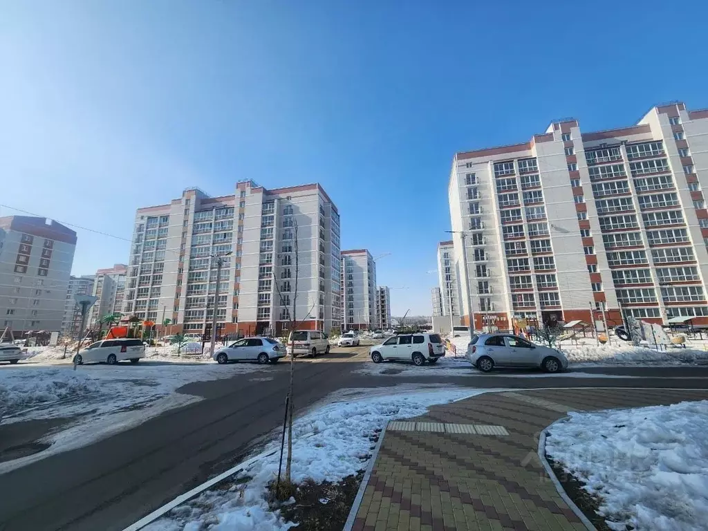 Студия Амурская область, Благовещенский район, с. Чигири ул. ... - Фото 1