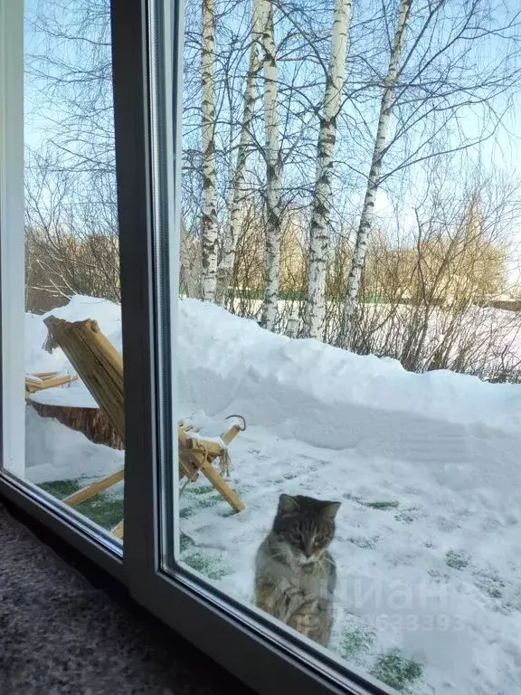 Дом в Московская область, Домодедово городской округ, д. Поздново 1 ... - Фото 1