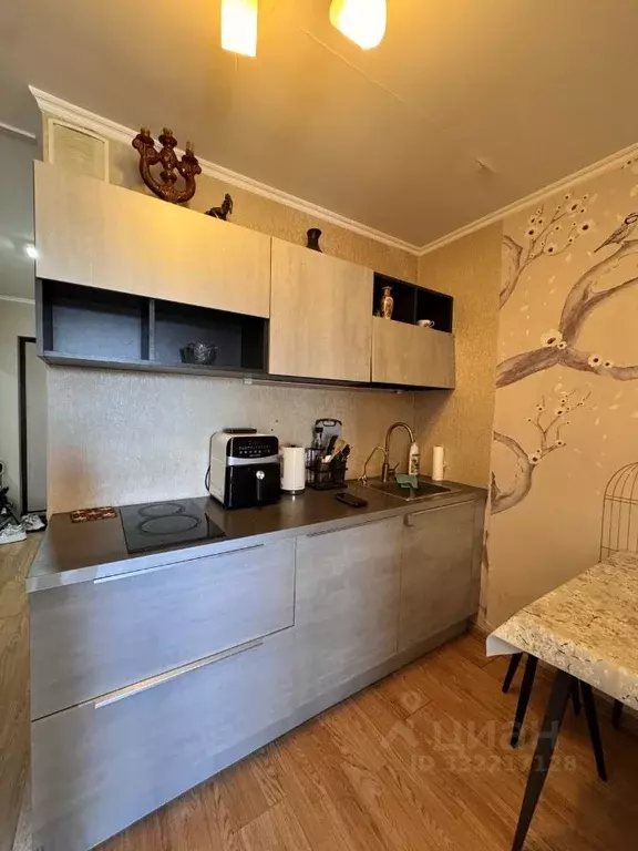 Студия Санкт-Петербург пос. Парголово, Заречная ул., 19к1 (27.2 м) - Фото 2