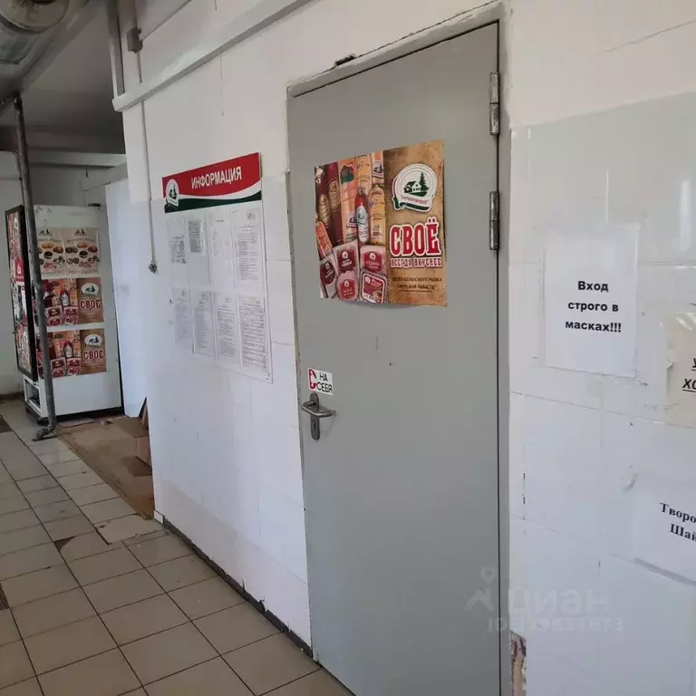 Помещение свободного назначения в Саха (Якутия), Нерюнгри ул. ... - Фото 1