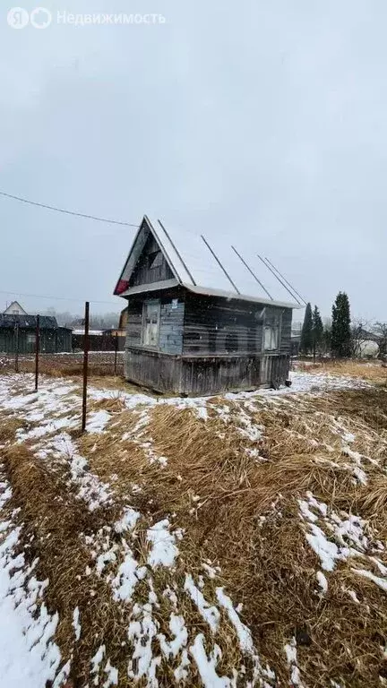 Участок в городской посёлок Будогощь, садовое товарищество Ракитино, ... - Фото 1