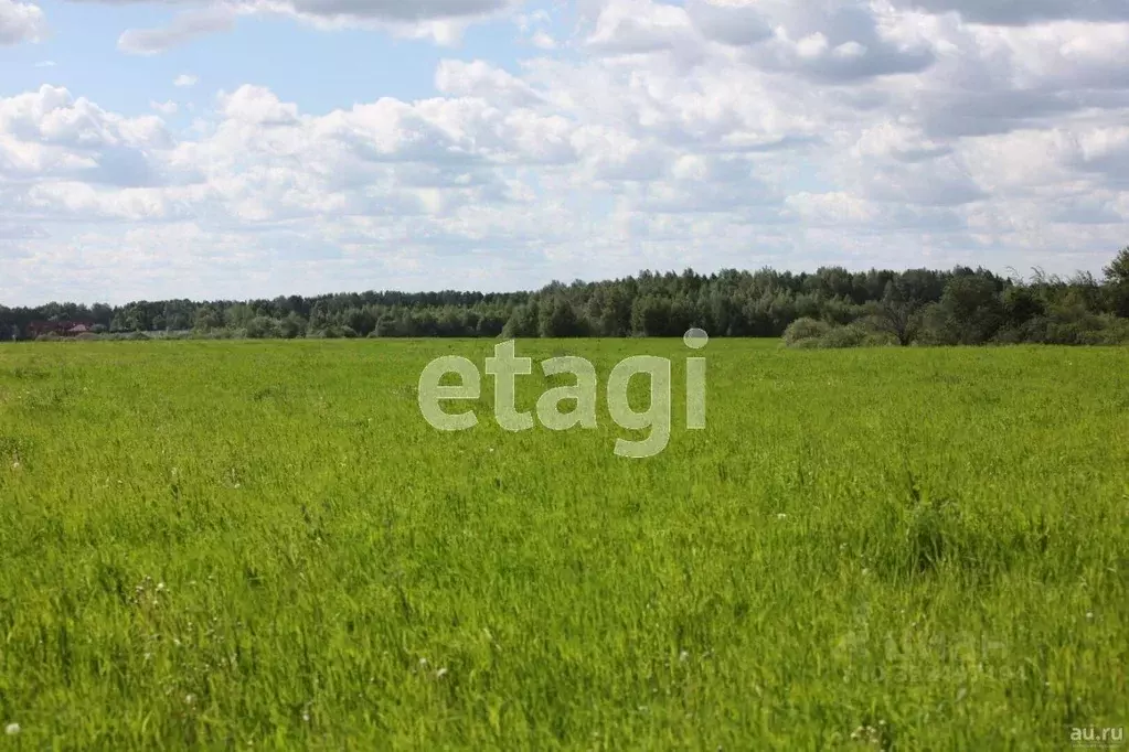 Участок в Вологодская область, пос. Грибково  (78.0 сот.) - Фото 2