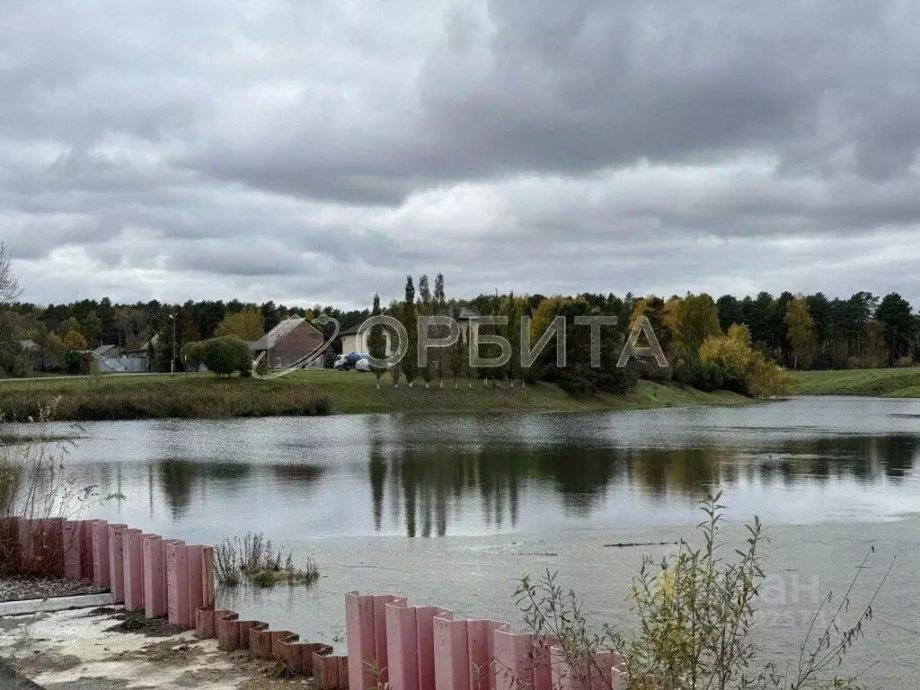 Участок в Тюменская область, Тюменский муниципальный округ, Победа кп  ... - Фото 2