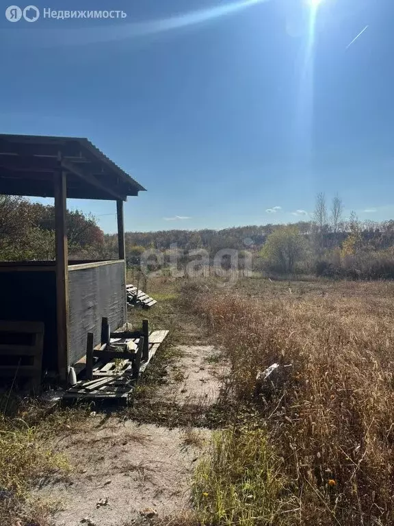 Участок в Благовещенск, СТ Механизатор-2 (10 м) - Фото 0